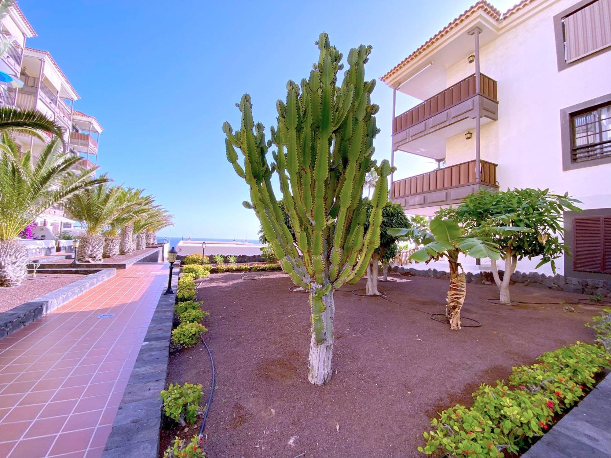 Tropicalidays Costa Mar Daire Costa Del Silencio Dış mekan fotoğraf